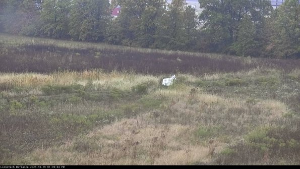 Cell 2 to 3_23-10-19_13-09-05-14