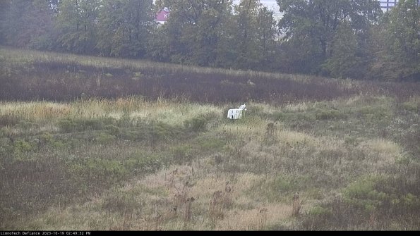 Cell 2 to 3_23-10-19_14-49-33-12