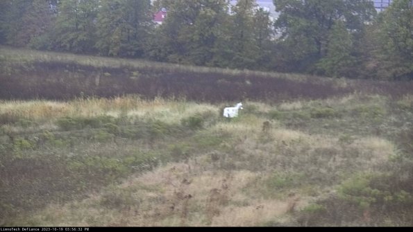 Cell 2 to 3_23-10-19_15-56-33-09