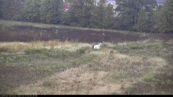 Cell 2 to 3_23-10-19_17-03-30-23