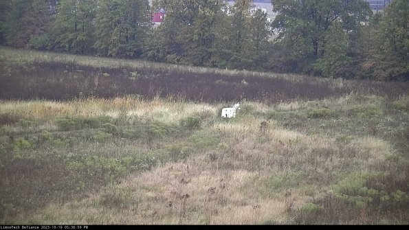 Cell 2 to 3_23-10-19_17-37-00-11