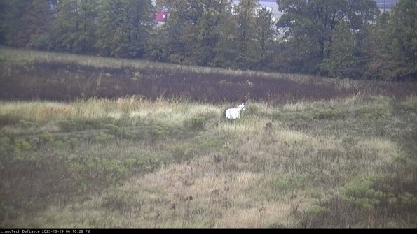 Cell 2 to 3_23-10-19_18-10-29-09