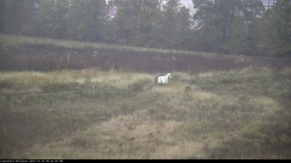 Cell 2 to 3_23-10-19_18-43-59-21