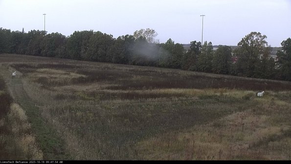 Cell 2_23-10-19_09-47-55-02