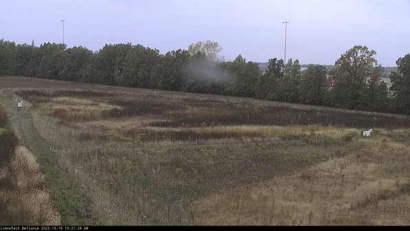 Cell 2_23-10-19_10-21-25-04