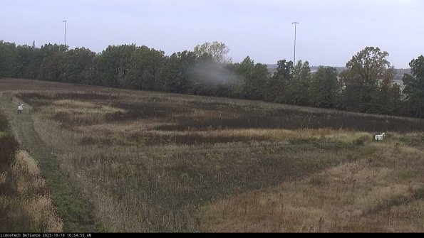 Cell 2_23-10-19_10-54-55-99