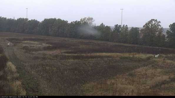 Cell 2_23-10-19_12-01-53-99