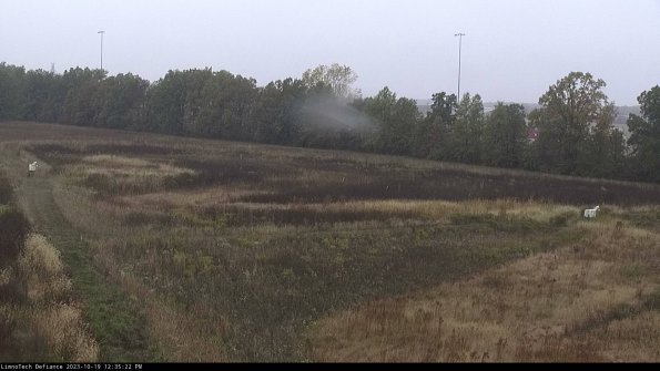 Cell 2_23-10-19_12-35-23-08