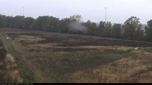 Cell 2_23-10-19_13-08-52-03