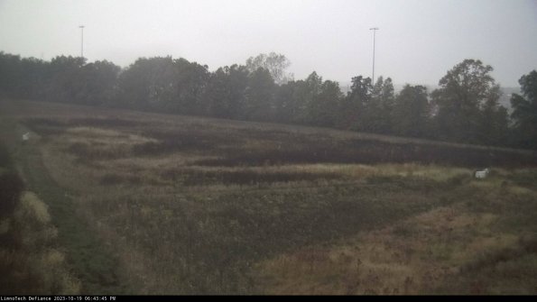 Cell 2_23-10-19_18-43-46-10