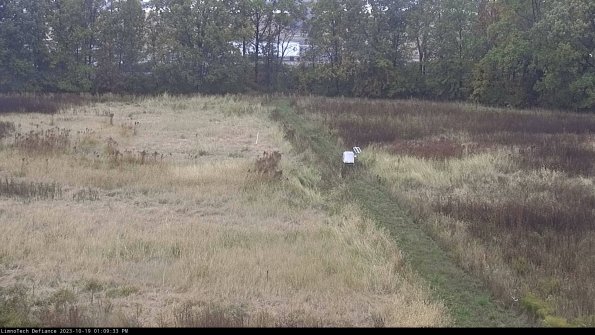 Cell 3 to 4_23-10-19_13-09-34-00