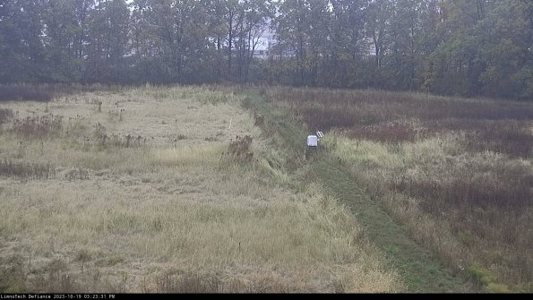 Cell 3 to 4_23-10-19_15-23-32-00