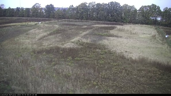 Cell 3_23-10-19_08-41-23-98