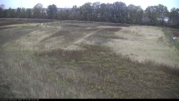 Cell 3_23-10-19_09-14-53-23