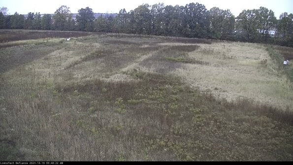 Cell 3_23-10-19_09-48-22-98