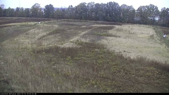 Cell 3_23-10-19_10-55-23-22