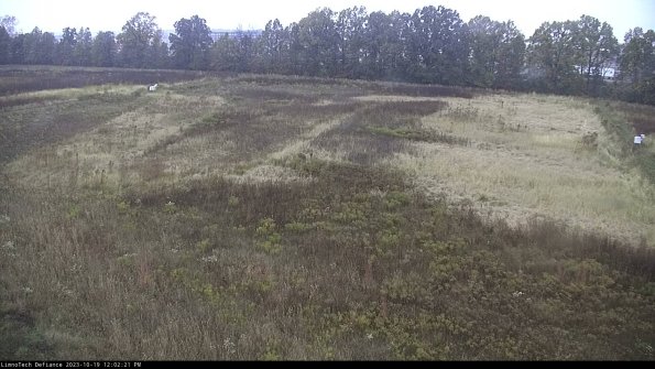 Cell 3_23-10-19_12-02-21-99