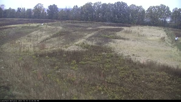 Cell 3_23-10-19_12-35-51-00