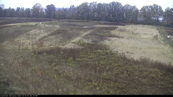 Cell 3_23-10-19_13-09-19-99