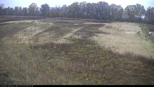 Cell 3_23-10-19_15-56-48-01