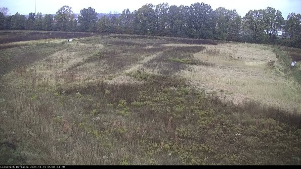 Cell 3_23-10-19_17-03-45-01