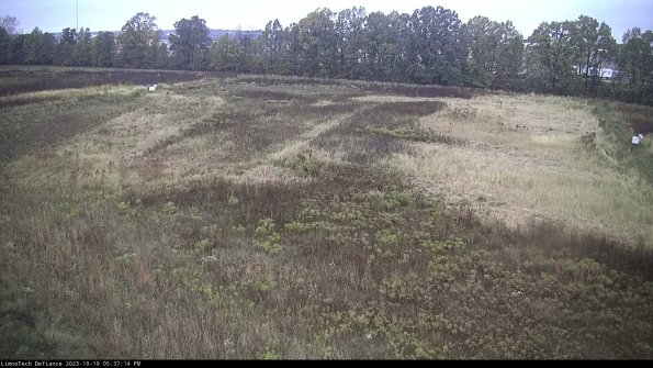 Cell 3_23-10-19_17-37-14-99