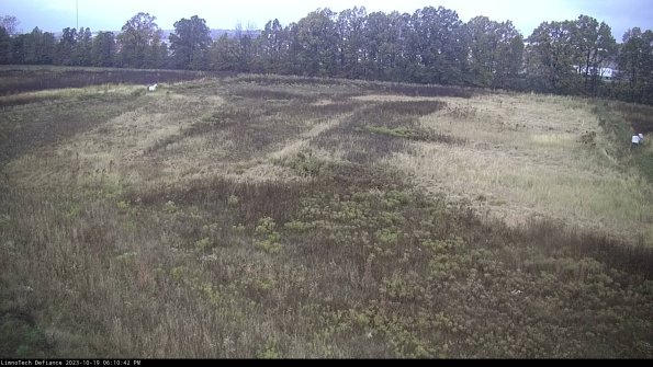 Cell 3_23-10-19_18-10-43-21