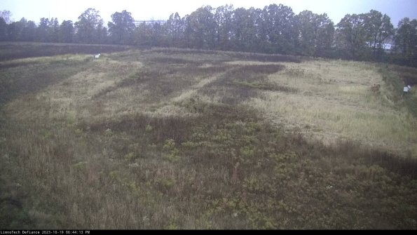 Cell 3_23-10-19_18-44-13-99