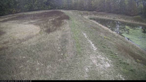 Cell 4 to Basin_23-10-19_08-42-22-01