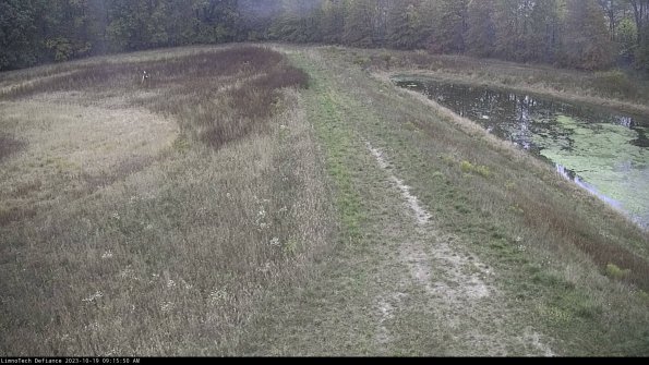 Cell 4 to Basin_23-10-19_09-15-50-99