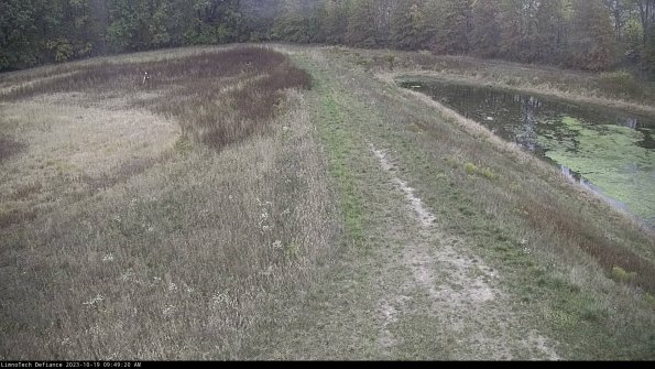 Cell 4 to Basin_23-10-19_09-49-21-01