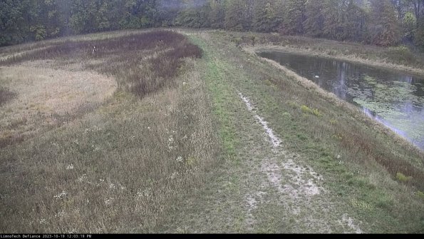 Cell 4 to Basin_23-10-19_12-03-20-01