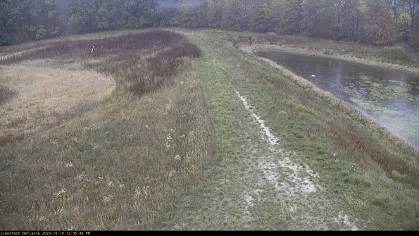 Cell 4 to Basin_23-10-19_12-36-49-03