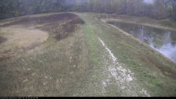 Cell 4 to Basin_23-10-19_14-50-46-00