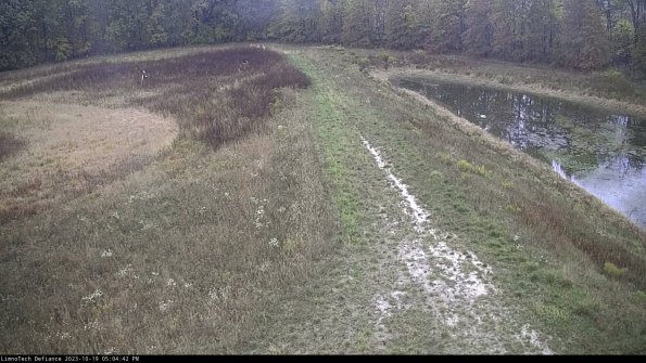 Cell 4 to Basin_23-10-19_17-04-43-00