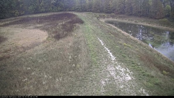 Cell 4 to Basin_23-10-19_17-38-13-02