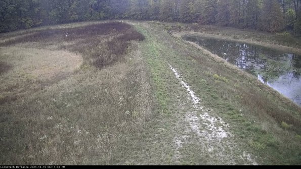 Cell 4 to Basin_23-10-19_18-11-41-00