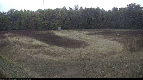 Cell 4_23-10-19_09-15-20-99