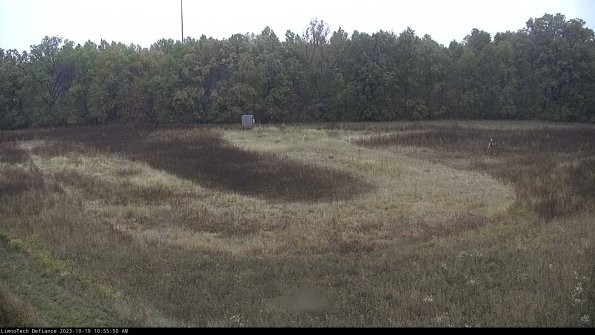 Cell 4_23-10-19_10-55-50-98