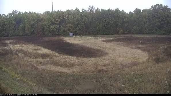 Cell 4_23-10-19_12-02-49-98