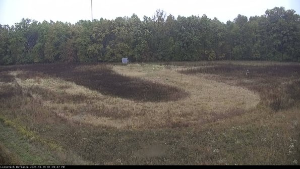 Cell 4_23-10-19_13-09-47-98