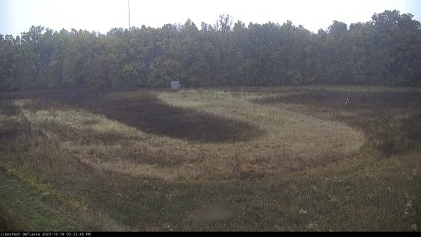 Cell 4_23-10-19_15-23-45-98