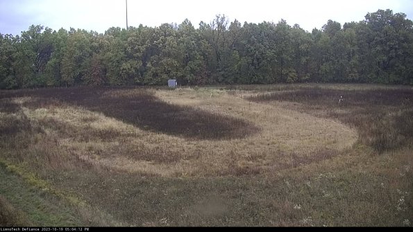 Cell 4_23-10-19_17-04-13-00