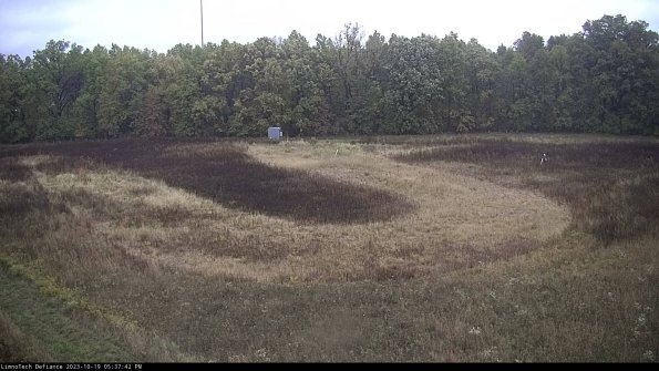 Cell 4_23-10-19_17-37-42-99