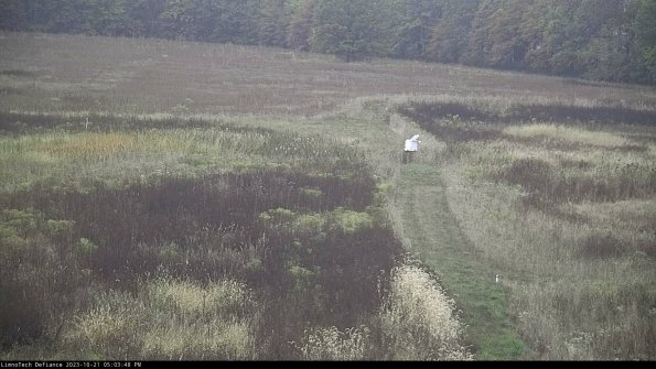 Cell 1 to 2_23-10-21_17-03-49-00