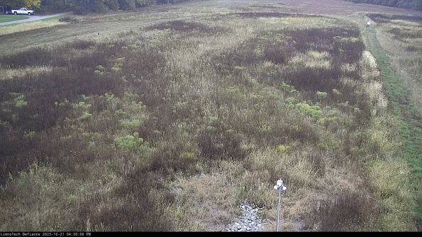 Cell 1_23-10-21_16-30-07-01