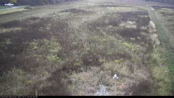 Cell 1_23-10-21_17-03-34-99