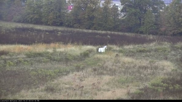 Cell 2 to 3_23-10-21_15-57-17-16