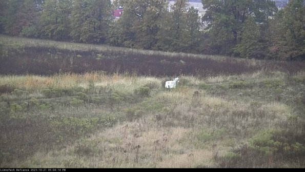 Cell 2 to 3_23-10-21_17-04-15-13