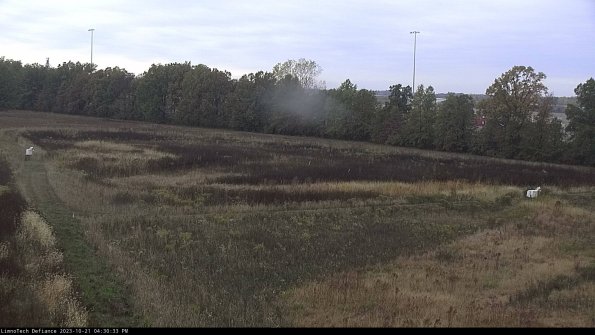 Cell 2_23-10-21_16-30-34-00